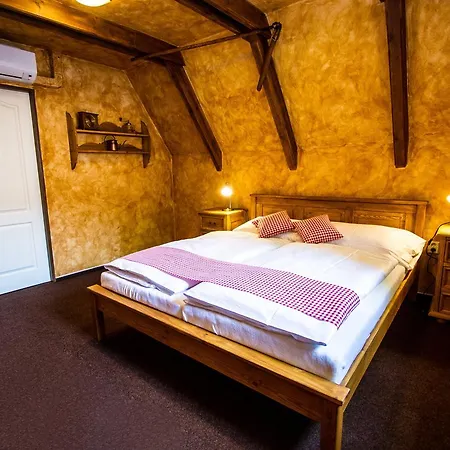 Areal Salas Guest house *
